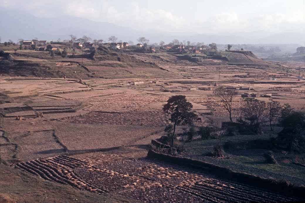 View near Lagankhel