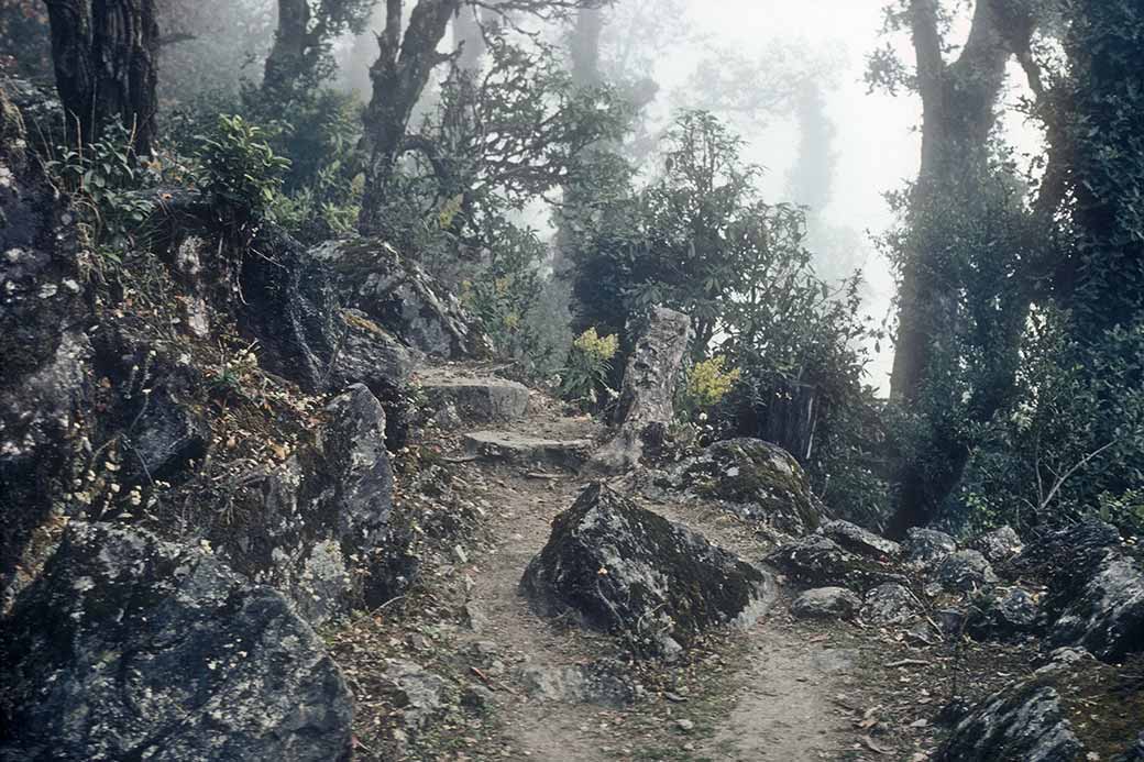 Foot path near Tarke Ghyang
