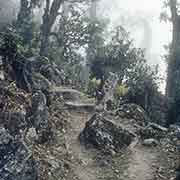 Foot path near Tarke Ghyang