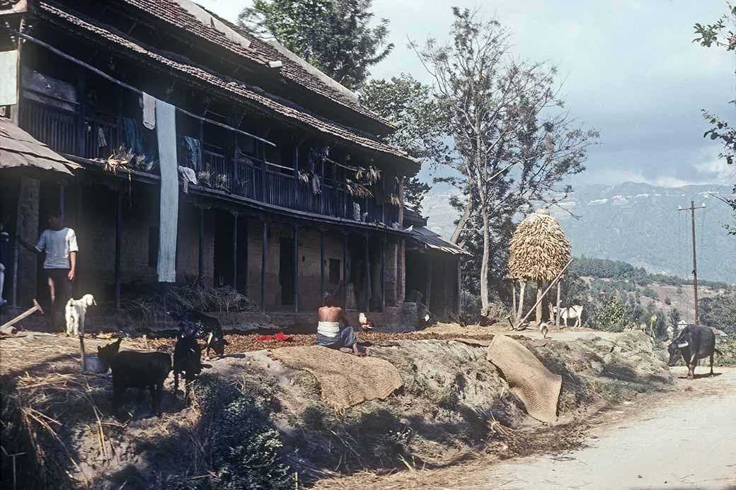 Road to Gokarna