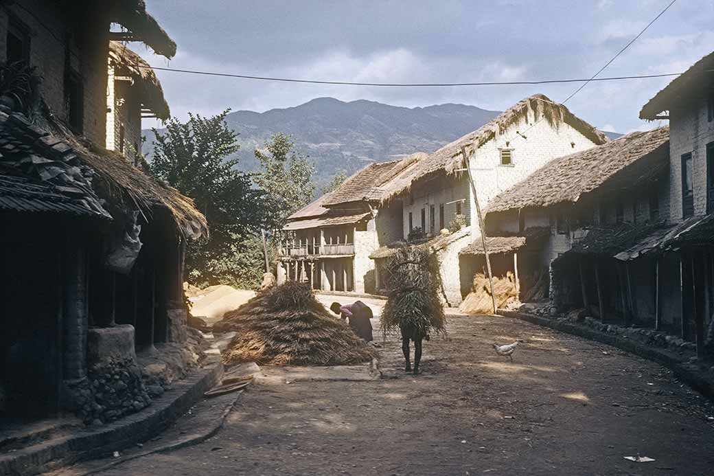 Village road, Gokarneshwar