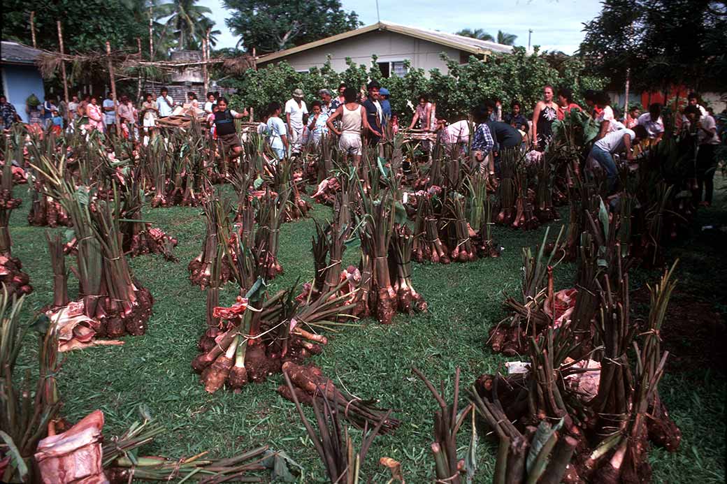 Bundles of taro