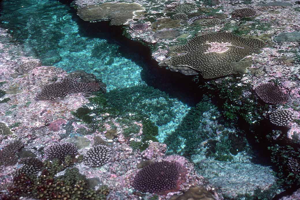 Rock pool at Talava