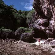 Coast at Avaiki