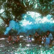 Family under tree