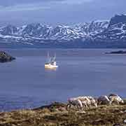 View to Kvaløya