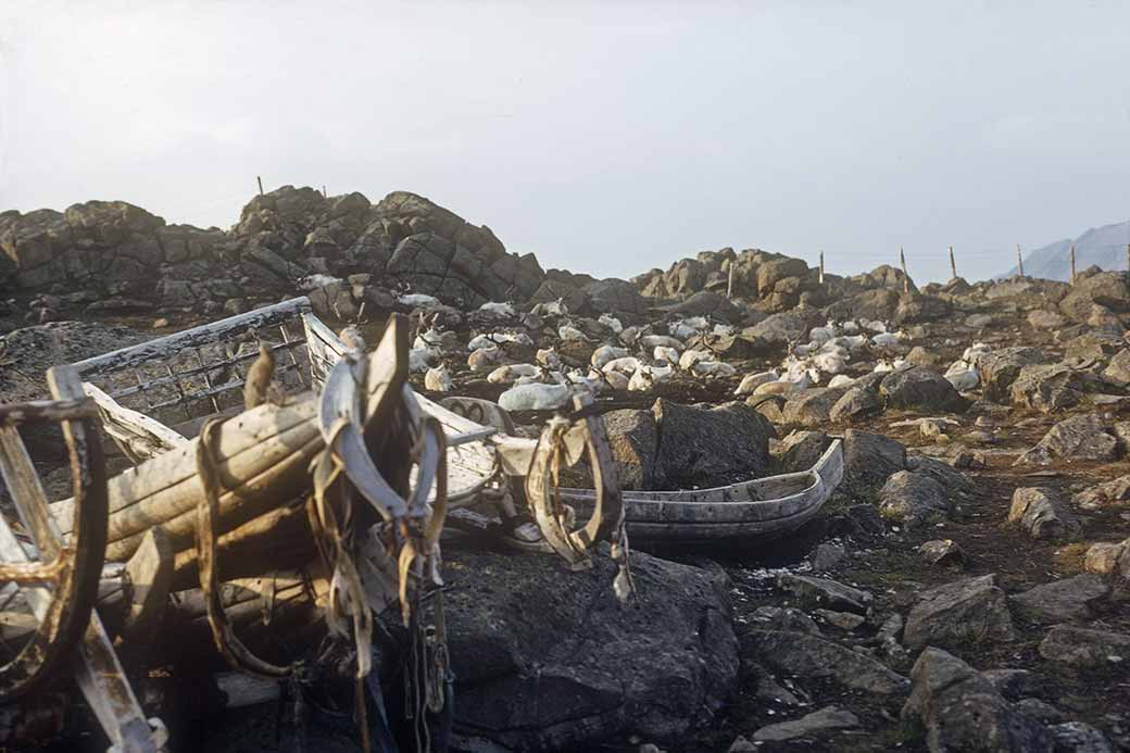 Canoes and reindeer, Sami camp