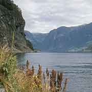 Aurlandsfjord, Flåm