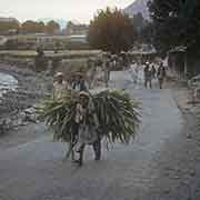 View over Chitral