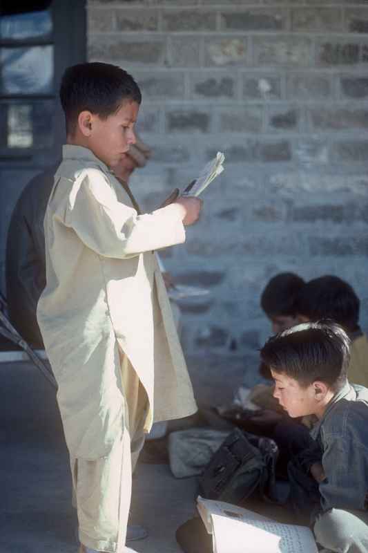 Boy reading in the school