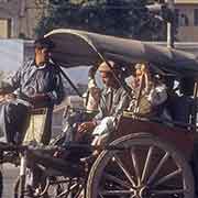 Tonga horse-drawn carriage