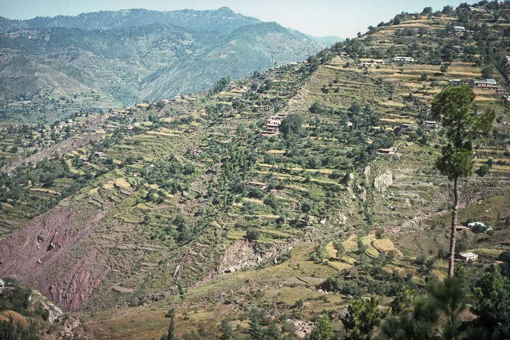 Between Rawalpindi and Murree