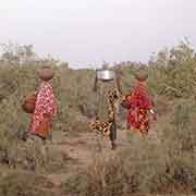 Women fetching water