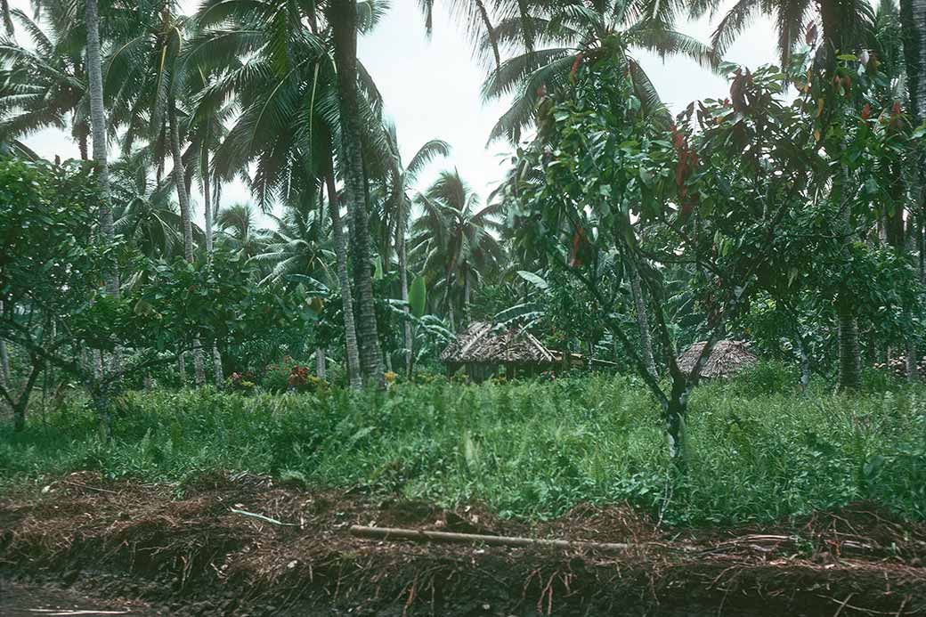 Huts near Ti'avea