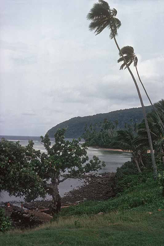 View from Cape Tapaga