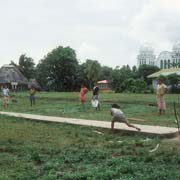 Cricket in Lalomanu