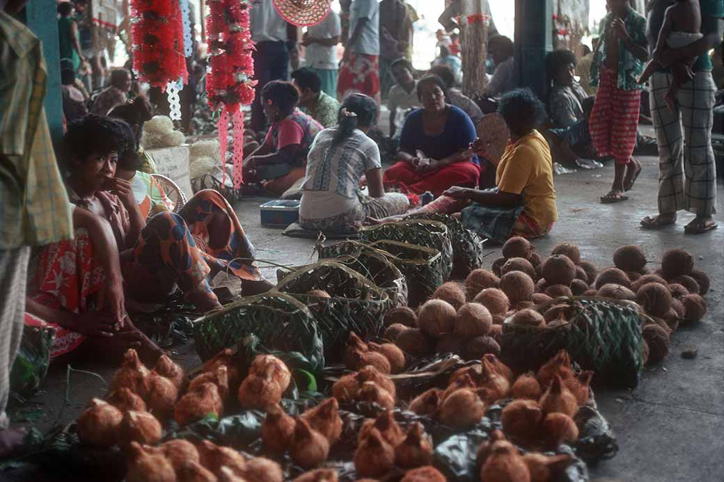 Selling coconuts