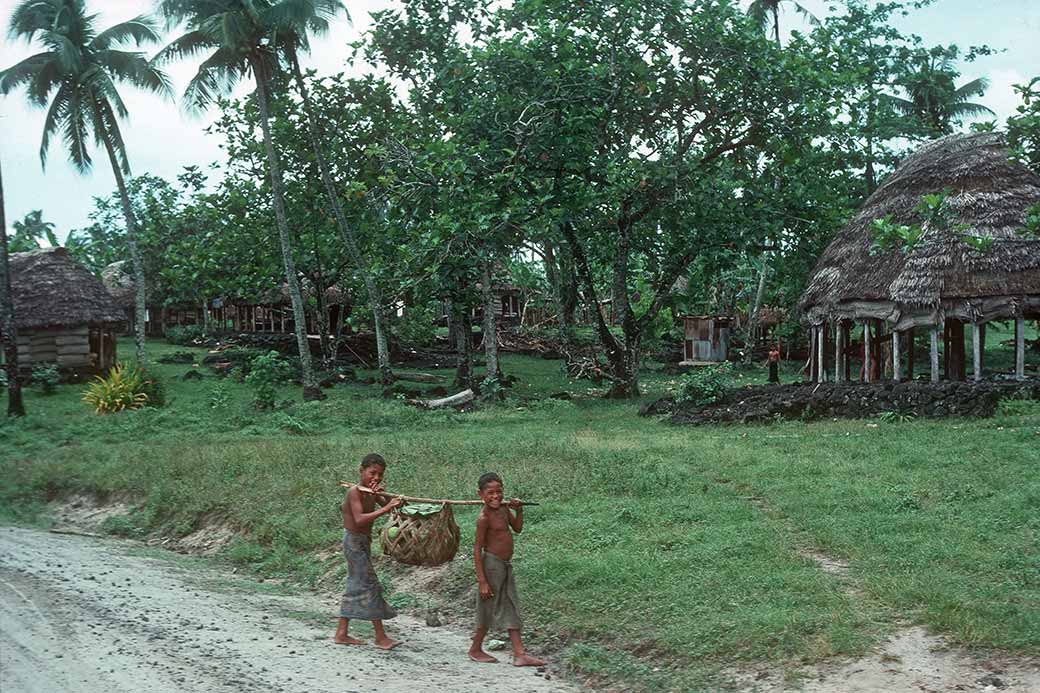 Carrying breadfruit