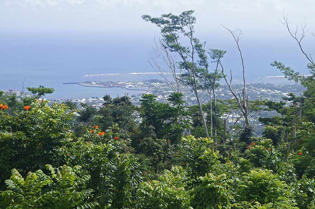 Apia from Vailima