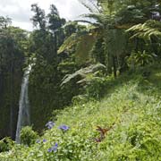 Fuipisia Waterfall