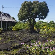 Fale, lava field