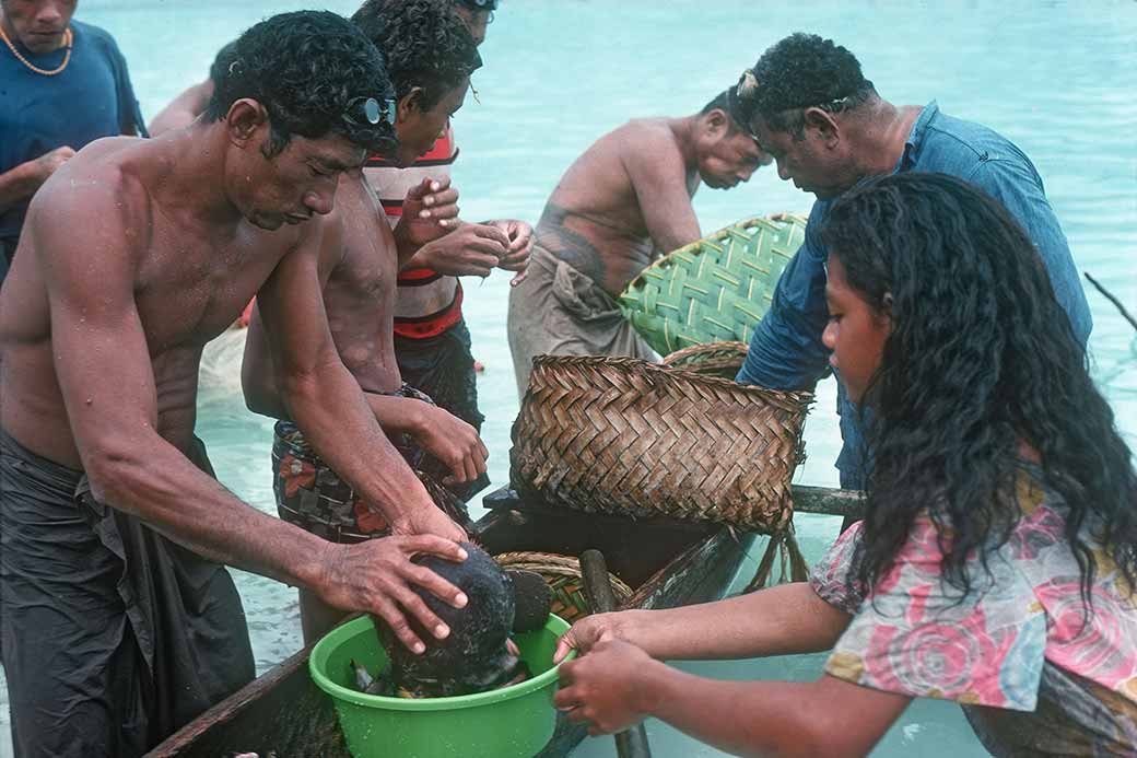 Distributing fish