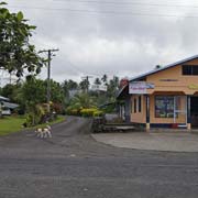 Local shop