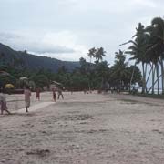 Cricket in Saleapaga