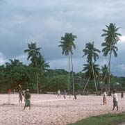 Playing Samoan cricket