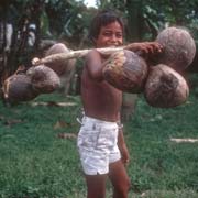 Boy with coconuts