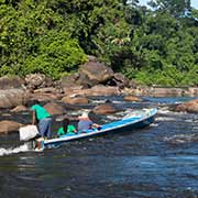 Negotiating the rapids