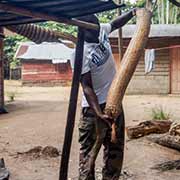 Explaining the manioc strainer