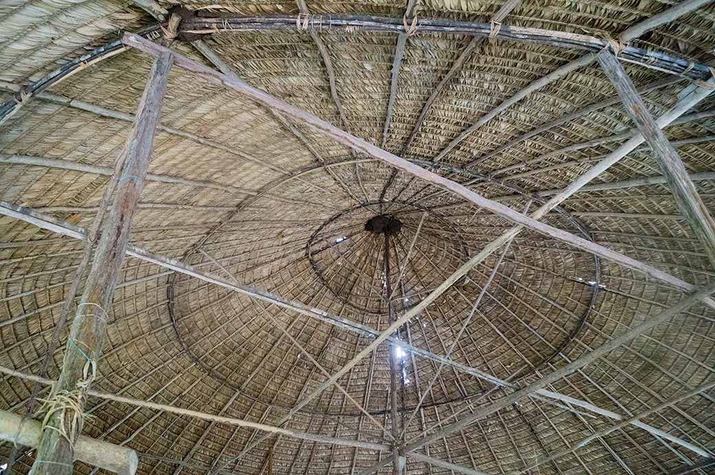 Community hall roof, Palumeu