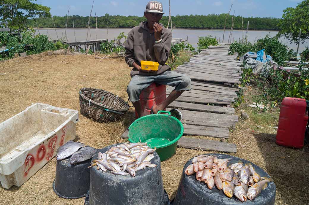 Fisherman, Nieuw Nickerie