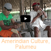 Amerindian men