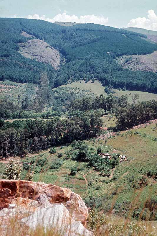 Umwubu river valley