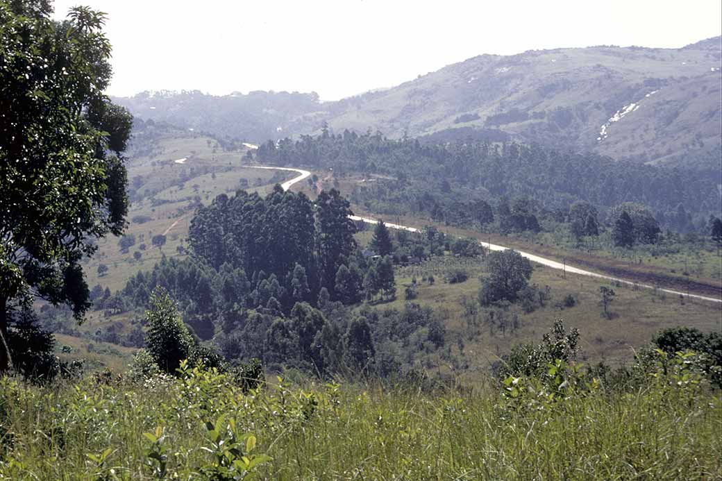 Malegwane Hill road