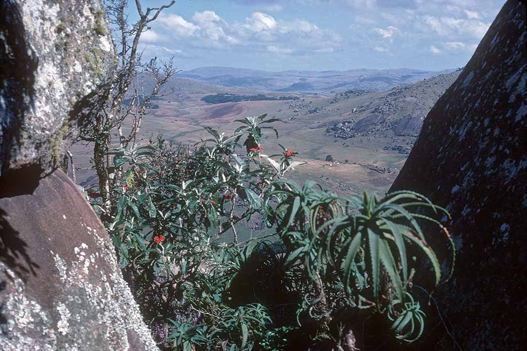 View near Maphalaleni