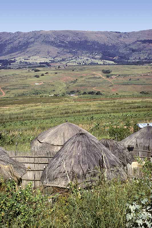 Traditional houses