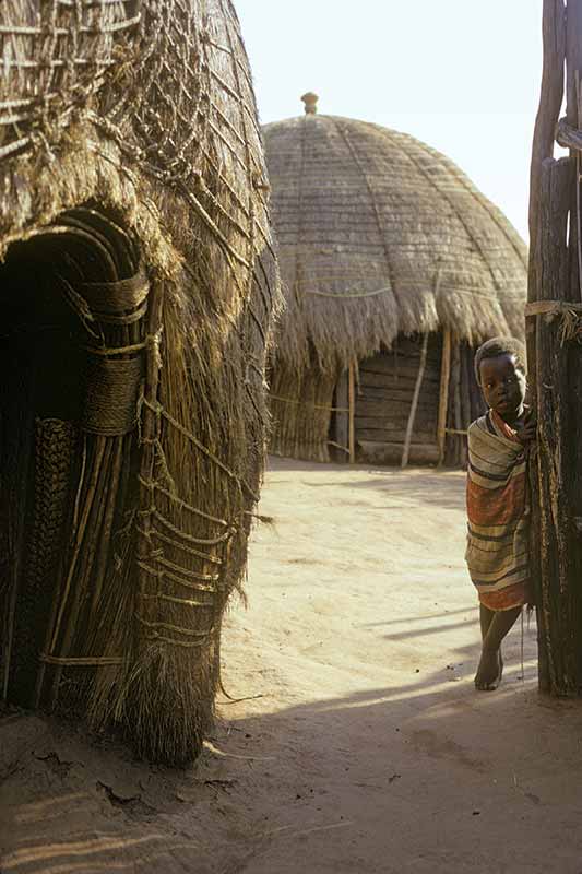 Traditional huts