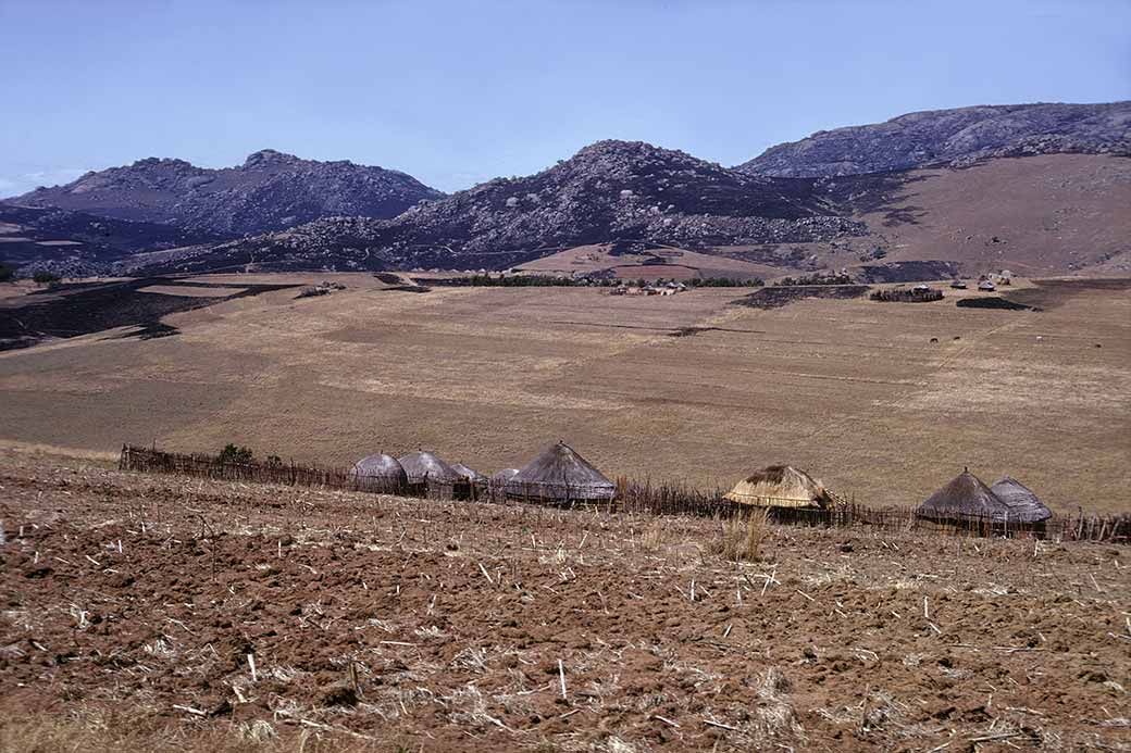 Traditional houses