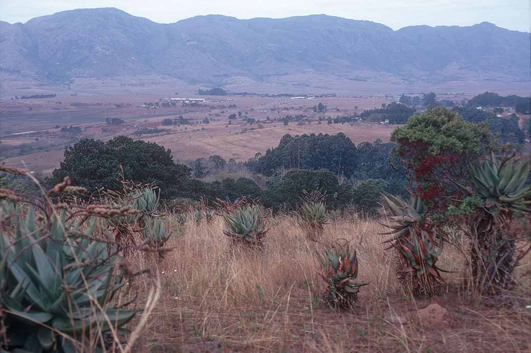 View to Lobamba