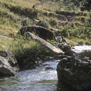 Mbabane river