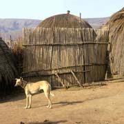 Beehive huts