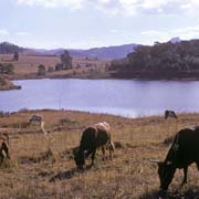 Dlangeni lake