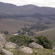 View, Mantjolo