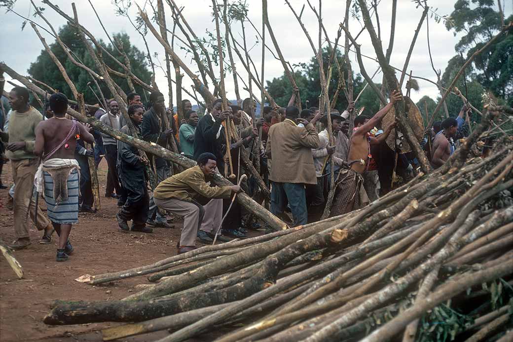 Poles for sibaya