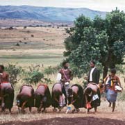 Women and girls dancing