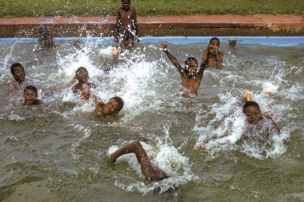 Race in the pool