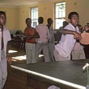 Playing table tennis